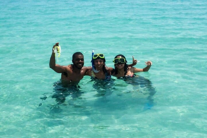 Shell Island Snorkel and Dolphin Tour from Panama City Beach photo 3