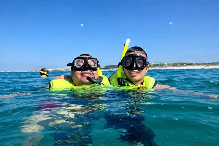 Shell Island Snorkel and Dolphin Tour from Panama City Beach photo 4