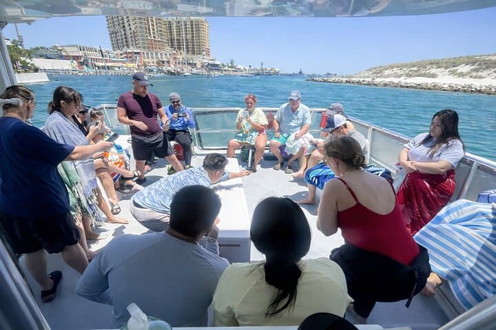 Shell Island Snorkel and Dolphin Tour from Panama City Beach photo 5