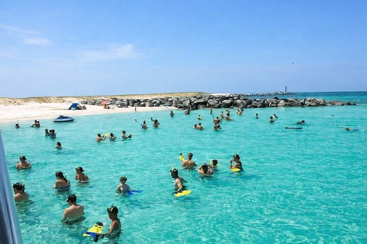 Shell Island Snorkel and Dolphin Tour from Panama City Beach photo 6
