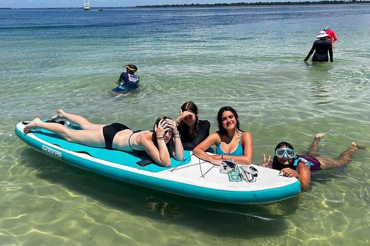 Panama City Beach Private Dolphin & Snorkel Adventure to Shell Island photo 4