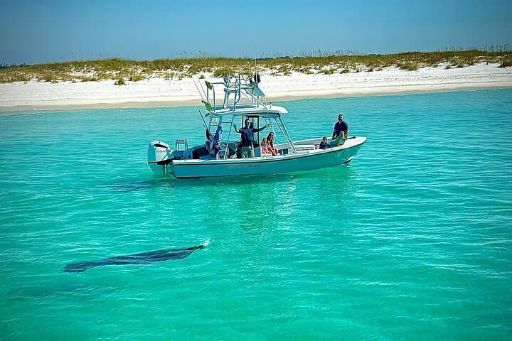 Panama City Beach Private Dolphin & Snorkel Adventure to Shell Island photo 5