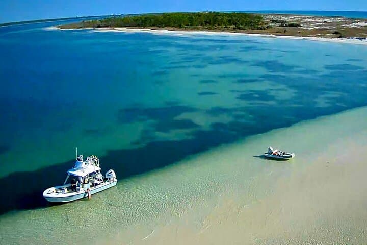 Panama City Beach Private Dolphin & Snorkel Adventure to Shell Island