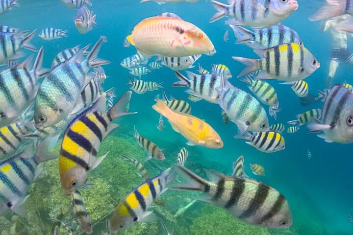 Private Day Trip to Gili Nanggu, Kedis & Sudak — Snorkel Sekotong's Secret Gilis photo 5
