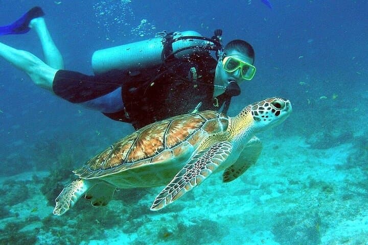 Cham Island Snorkeling & Diving Day Trip from Hoi An photo 4