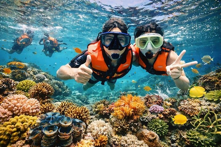 Cham Island Snorkeling & Diving Day Trip from Hoi An photo 3