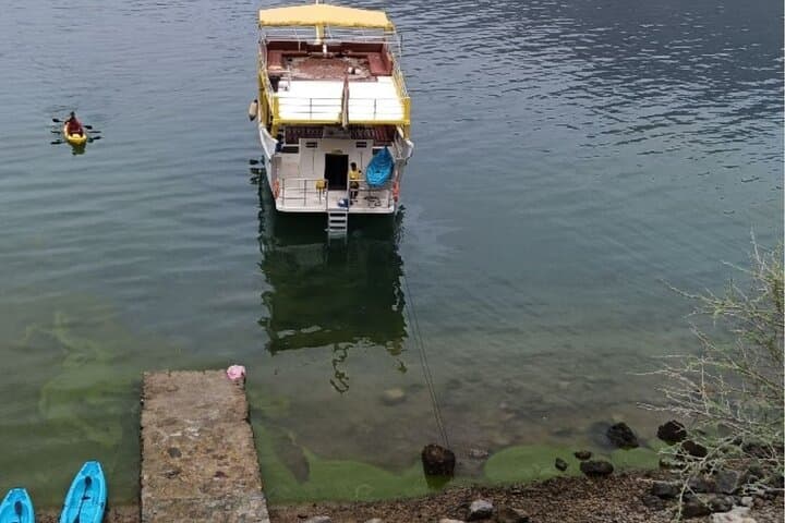 Khasab Fjord Trek & Dhow Cruise: Two Seas Viewpoint, Dolphins & Snorkeling photo 4