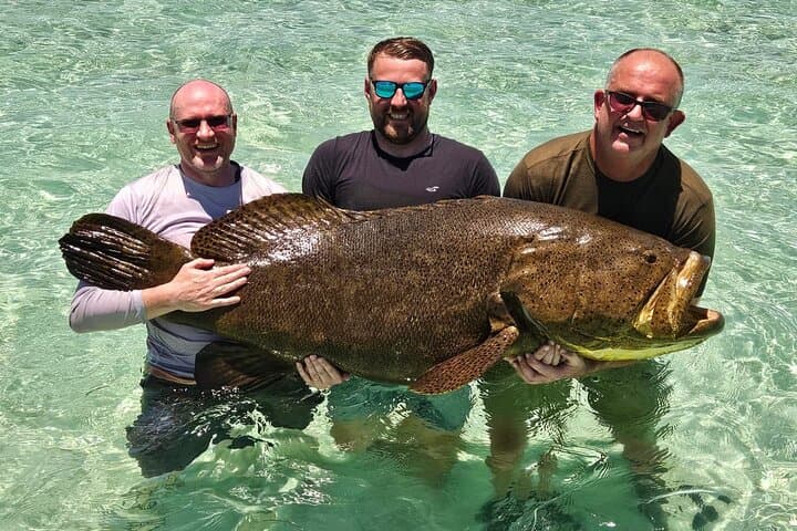 Key West Shark & Goliath Grouper 4‑Hour Fishing Trip (Morning or Evening)