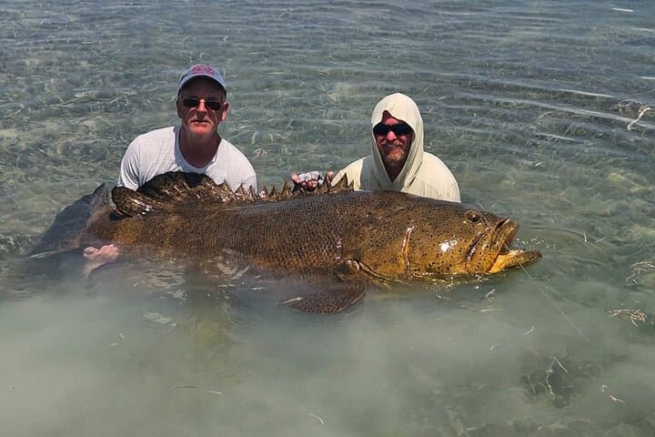 Key West Shark & Goliath Grouper 4‑Hour Fishing Trip (Morning or Evening) photo 3