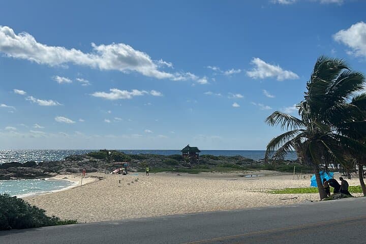 Private Cozumel Shore Snorkeling and Coastal Drive photo 6