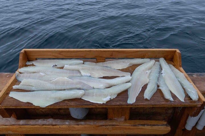 Evening Fishing Cruise in Tromsø: Arctic Light Aboard the Historic Hermes II photo 3