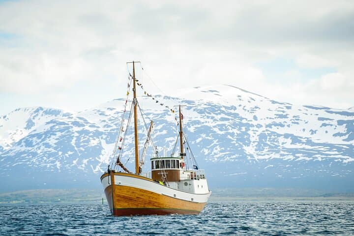 Evening Fishing Cruise in Tromsø: Arctic Light Aboard the Historic Hermes II photo 4