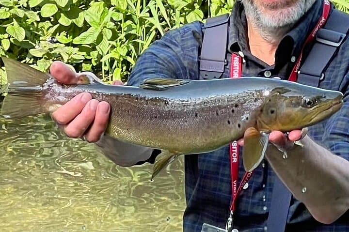 Chiltern Fly Fishing Safari on the River Chess — Guided Chalk Stream Day