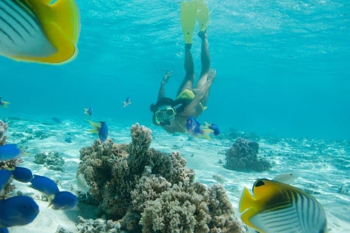 Tabarca Island Snorkel Day Trip from Valencia: Beaches, Marine Reserve & Village Walk