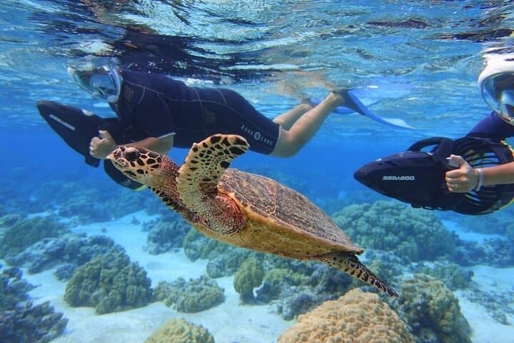 Glide with Mantas: Sea Scooter Snorkeling at Nusa Penida photo 2