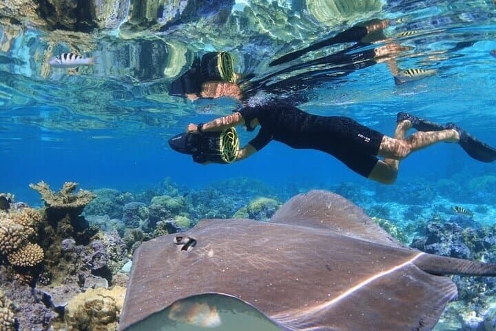 Glide with Mantas: Sea Scooter Snorkeling at Nusa Penida photo 3