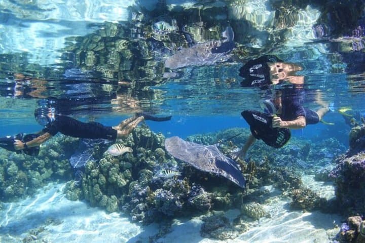 Glide with Mantas: Sea Scooter Snorkeling at Nusa Penida photo 4