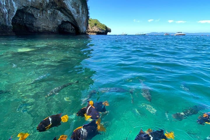 Snorkel Los Arcos de Mismaloya: Boat Trip to a Marine Sanctuary photo 1