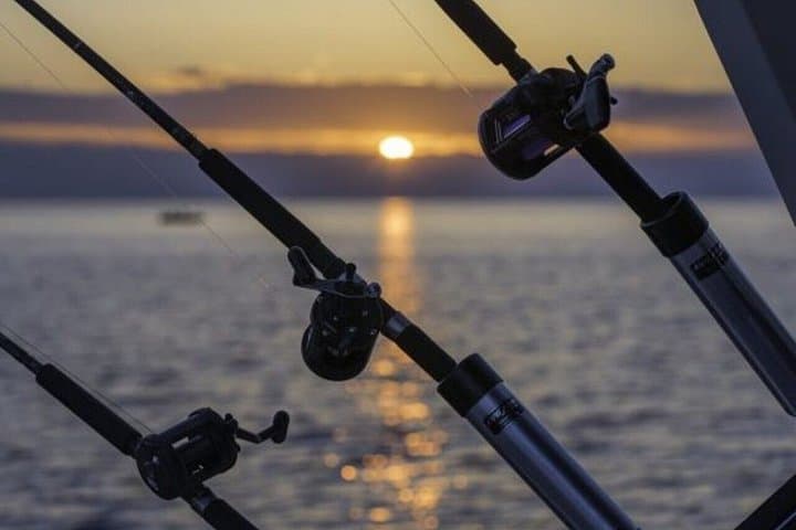 Bay of Malaga Private Fishing Trip — 3-Hour Skipper-Led Mediterranean Excursion photo 1