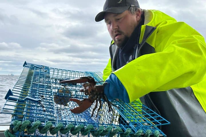 Hands-On Lobstering in Lunenburg: Citizen Science & Coastal Heritage photo 3