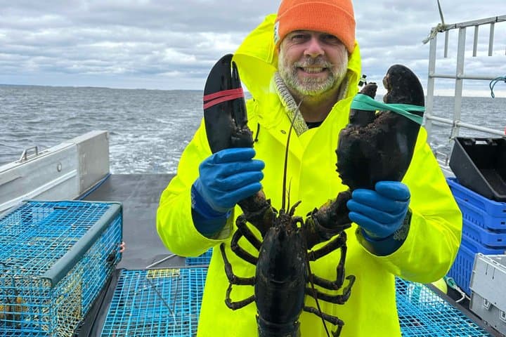 Hands-On Lobstering in Lunenburg: Citizen Science & Coastal Heritage photo 5