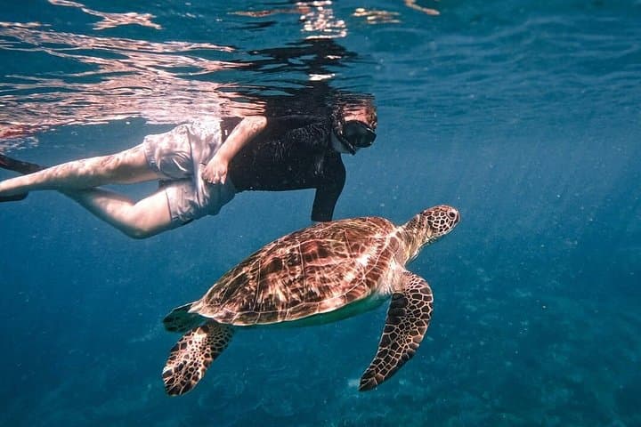 Full-Day Komodo Speedboat Tour: Padar Viewpoint, Pink Beach & Manta Snorkel photo 2