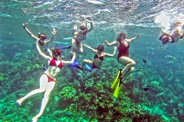 Catamaran Party in Sosúa Bay: Snorkel, Buffet & Open Bar Adventure photo 3