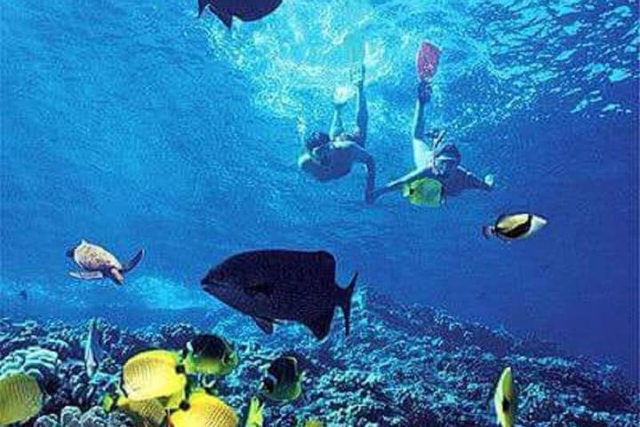 Catamaran Party in Sosúa Bay: Snorkel, Buffet & Open Bar Adventure photo 5