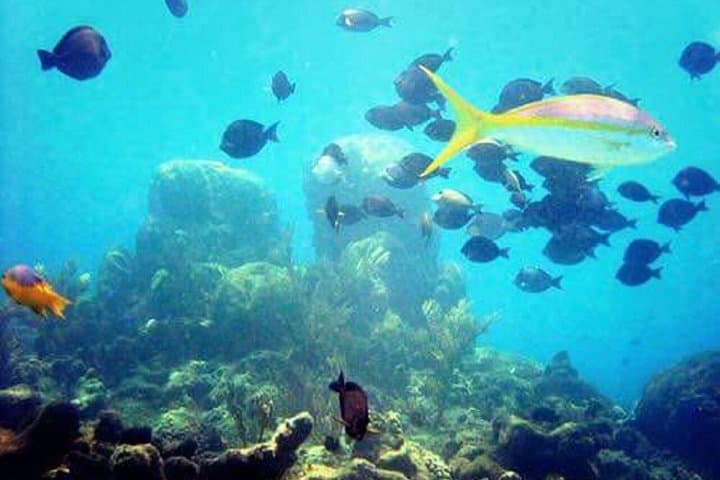 Catamaran Party in Sosúa Bay: Snorkel, Buffet & Open Bar Adventure photo 6