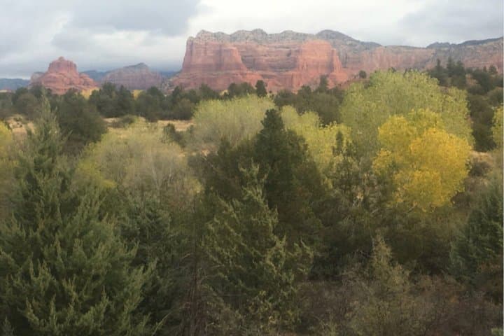 Sedona Wild Foods Hike: Survival Skills, Ancient Ruins & Red Rock Canyons photo 2