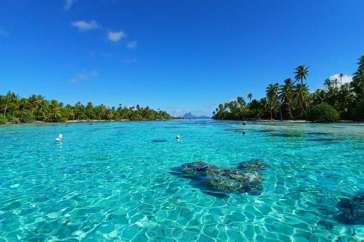 Snorkel, Pearl Farms & Polynesian Art: Private Tahaa‑Raiatea Lagoon Tour photo 4