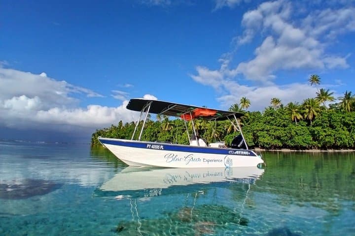 Snorkel, Pearl Farms & Polynesian Art: Private Tahaa‑Raiatea Lagoon Tour