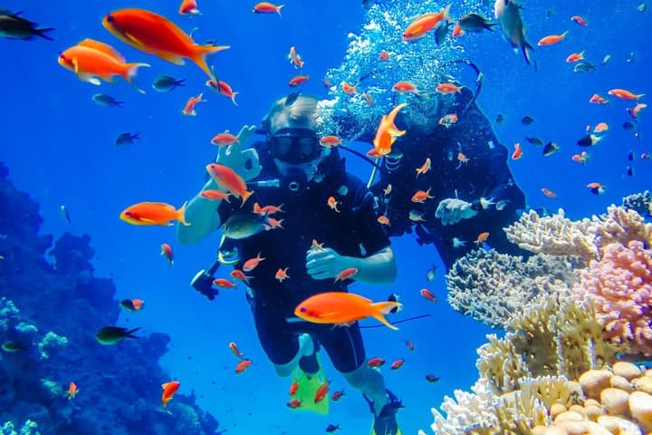 Sharm El Sheikh Snorkel Cruise to Ras Mohammed & White Island photo 3