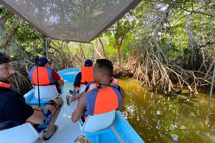 Rio Lagartos Mangrove & Flamingo Nature Tour with Clay Bath