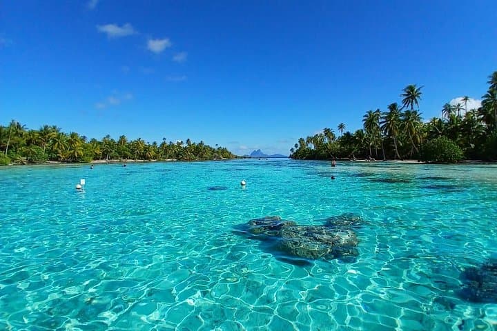 Raiatea to Tahaa Half-Day Coral Garden Snorkel & Shark Swim photo 1