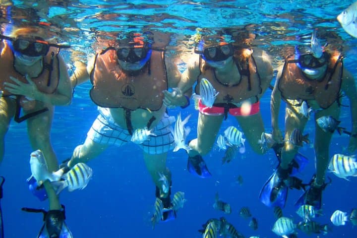 Grand Turk Clear-Bottom Snorkel at Lego Reefs — Rum Punch & Snacks Included photo 4