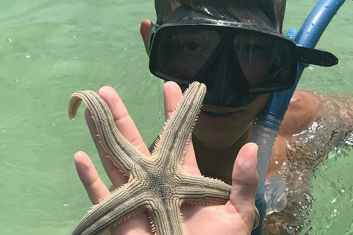 Anna Maria Island Sandbar Trip to Jewfish Key — Swim, Snorkel & Shell photo 2