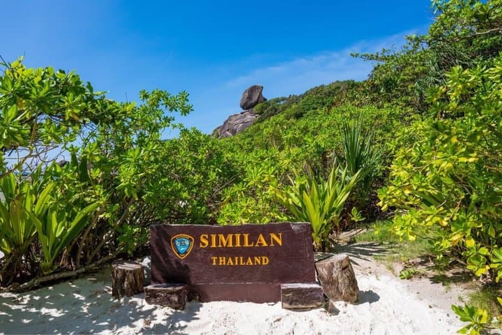 Similan Islands Speedboat Tour from Phuket: Snorkel White-Sand Beaches & Mermaid Photos