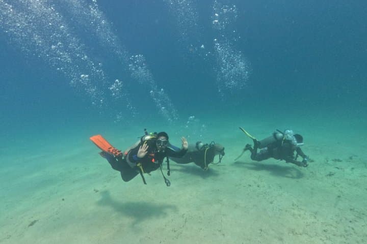 Coron Island Snorkel & Dugong-Watching Day Trip: Snorkels, Reefs, and Conservation photo 6