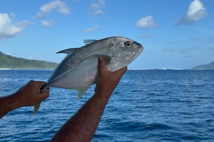 Half-Day Expedition Fishing in Raiatea & Taha'a — Lagoon Angling with a Local Captain