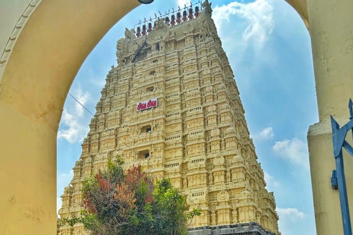 7-Day Private Chennai to Cochin: Temples, Backwaters & Wildlife