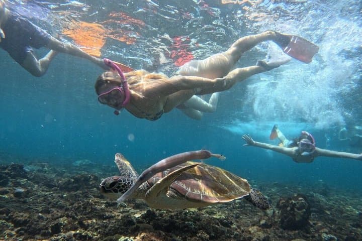 Private Snorkeling in Nusa Lembongan & Nusa Penida — Manta Bay, Toya Pakeh, Mangrove Point photo 4