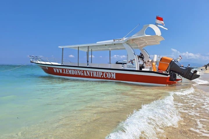 Private Snorkeling in Nusa Lembongan & Nusa Penida — Manta Bay, Toya Pakeh, Mangrove Point photo 5