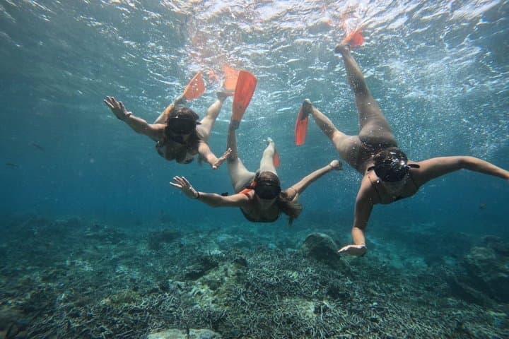 Private Snorkeling in Nusa Lembongan & Nusa Penida — Manta Bay, Toya Pakeh, Mangrove Point photo 2