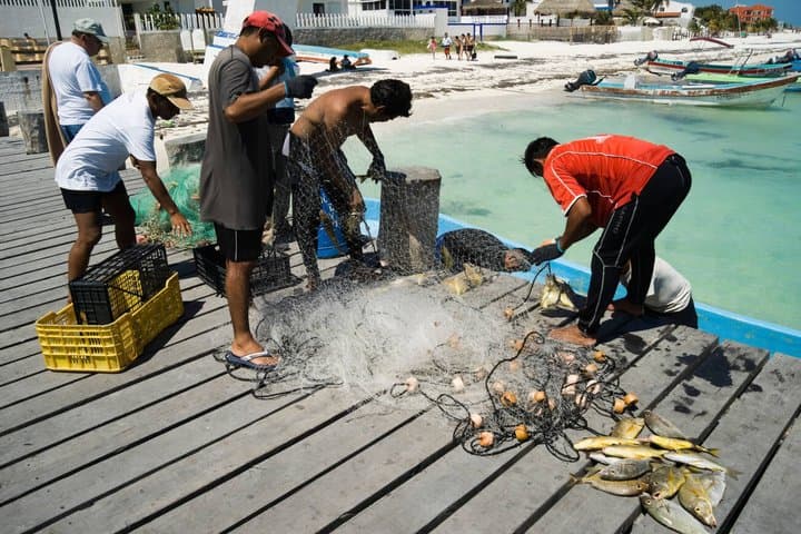 Private Puerto Morelos Marine Park Snorkel Day Trip from Cancún photo 4