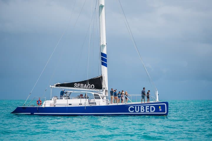 Key West Reef-to-Table Catamaran: Dolphin Watch, Snorkel & Local Cuisine photo 4