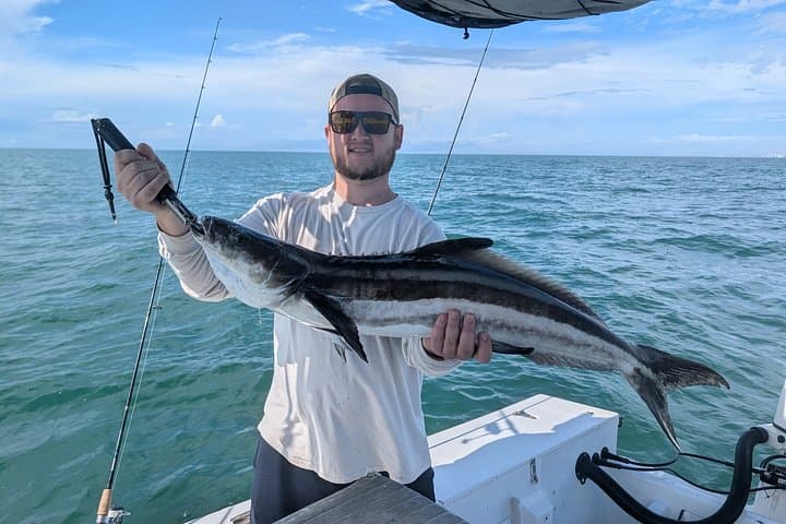 Sarasota Guided Fishing Trips: Half-Day Inshore & Offshore Charters on the Gulf photo 1