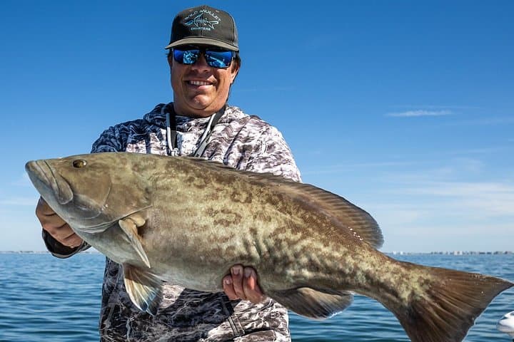 Sarasota Guided Fishing Trips: Half-Day Inshore & Offshore Charters on the Gulf photo 2