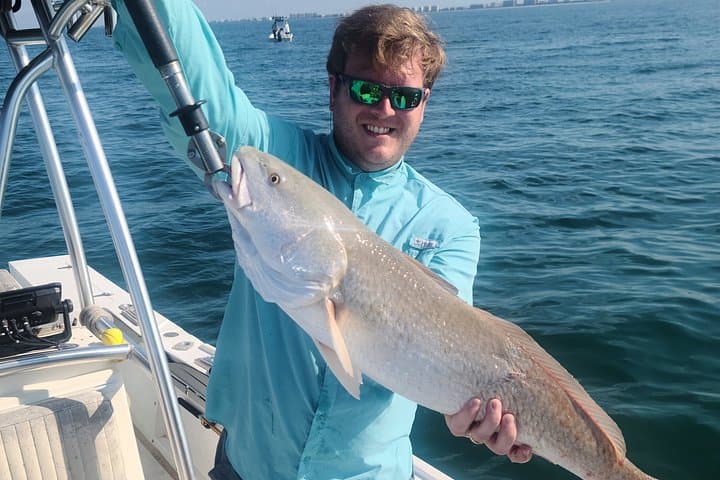 Sarasota Guided Fishing Trips: Half-Day Inshore & Offshore Charters on the Gulf photo 4