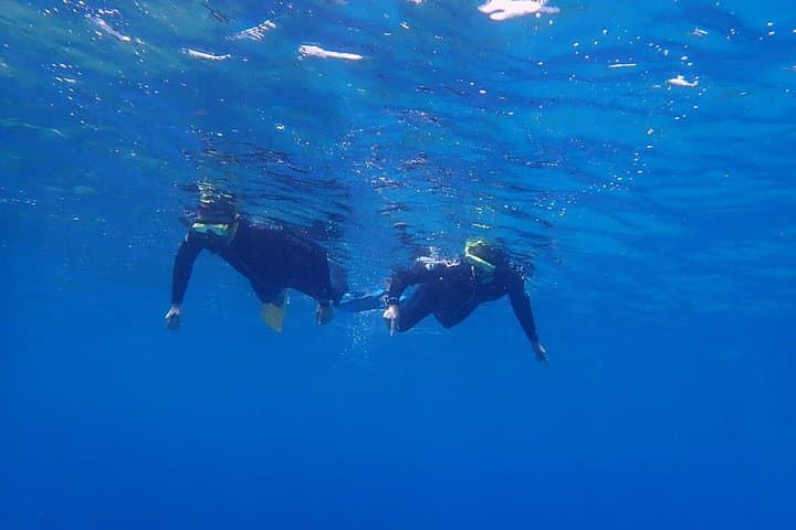 Snorkel Ammoudi & Damnoni: Guided Snorkeling Adventure in Southern Crete photo 4